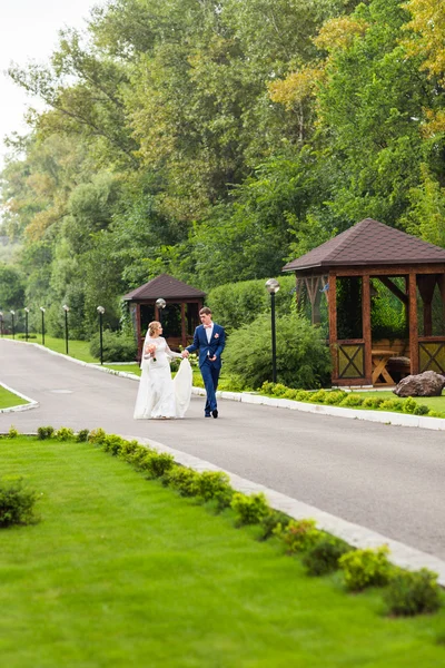 Наречена і наречена насолоджуються весіллям на відкритому повітрі — стокове фото