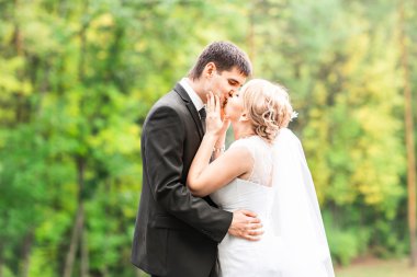 parkta güzel düğün çifti. öp ve birbirlerine sarılmak