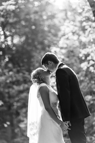 Schönes Hochzeitspaar im Park. sie küssen und umarmen sich — Stockfoto