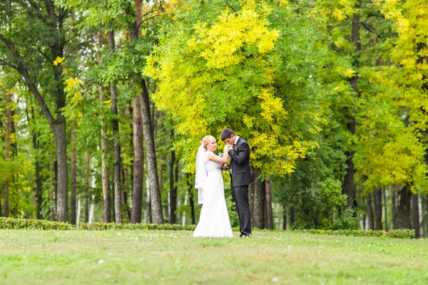 公園内の美しい結婚式のカップル。彼らはキスし、お互いをハグ — ストック写真