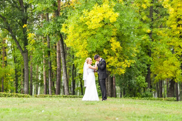 Belo casal de casamentos no parque. Beijam-se e abraçam-se — Fotografia de Stock