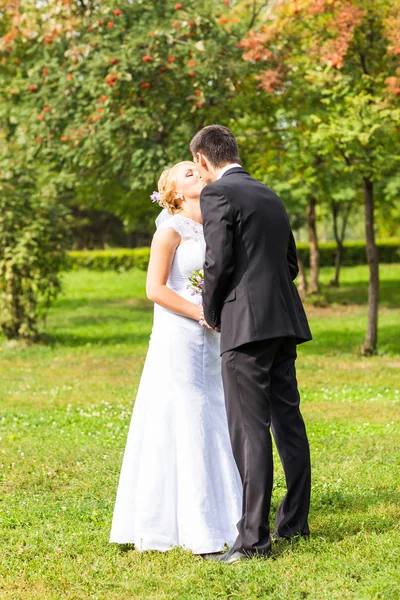 Beautiful wedding couple in park. They kiss and hug each other — Stock Photo, Image