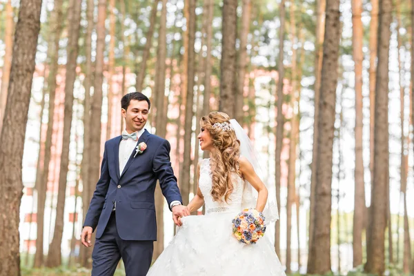 Noiva e noivo dia do casamento — Fotografia de Stock