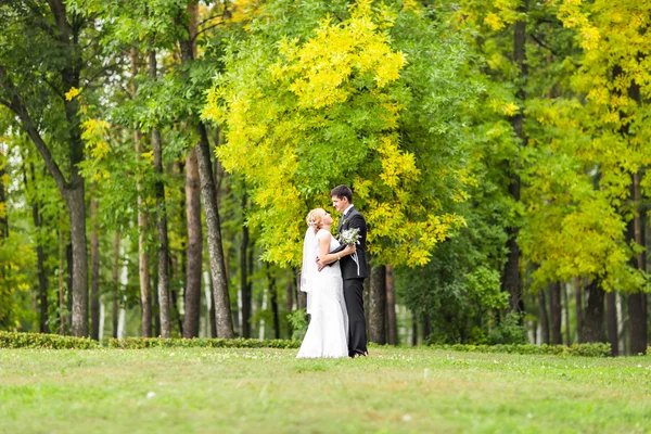 Schönes Hochzeitspaar im Freien. sie küssen und umarmen sich — Stockfoto