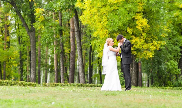 Casamento romântico bonito Casal Beijar e abraçar ao ar livre — Fotografia de Stock