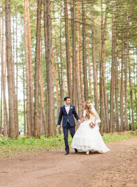 Gelin ve damat gün açık havada yürüyüş düğününde Doğa bahar.