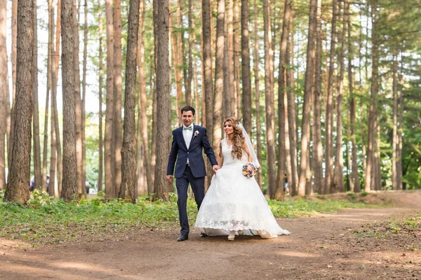 Panny młodej i pana młodego na wesela na zewnątrz chodzenie na wiosnę natura. — Zdjęcie stockowe