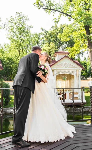 Beije a noiva e o noivo — Fotografia de Stock