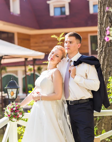 Noiva e noivo em seu dia de casamento — Fotografia de Stock