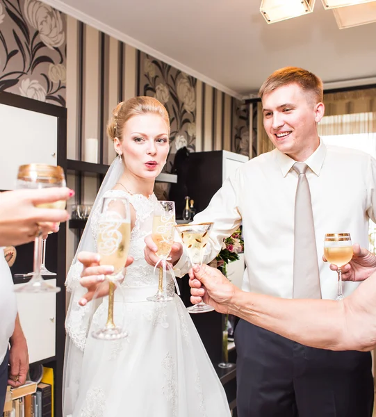 Svatební hosté řinčí poháry — Stock fotografie