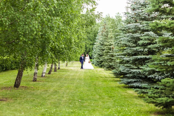 Bride and groom on their wedding day — Stock Photo, Image