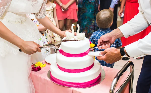 Brud och brudgum skära bröllopstårta — Stockfoto