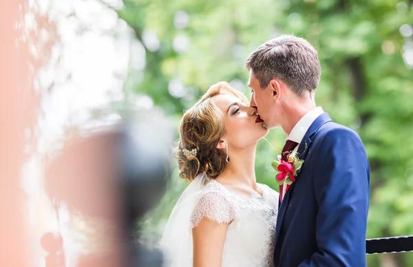 Portret van het kussen bruidspaar close-up — Stockfoto