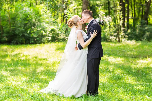 Hübsche Brünette Bräutigam küsst schöne Braut im Brautkleid — Stockfoto