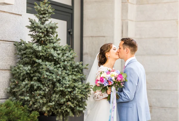 Szabadban csók menyasszony vőlegény — Stock Fotó