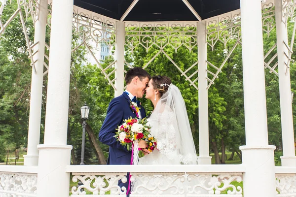 Жених целует невесту на открытом воздухе — стоковое фото