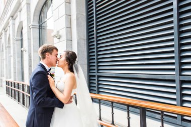 Yakışıklı esmer damat güzel gelin gelinlik içinde öpüşme