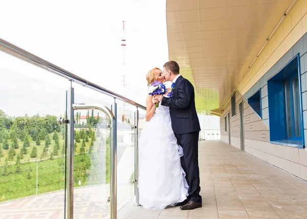 Knappe brunette bruidegom kussen van de mooie bruid in trouwjurk — Stockfoto