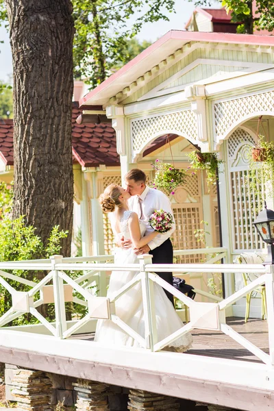 Жених целует невесту на открытом воздухе — стоковое фото