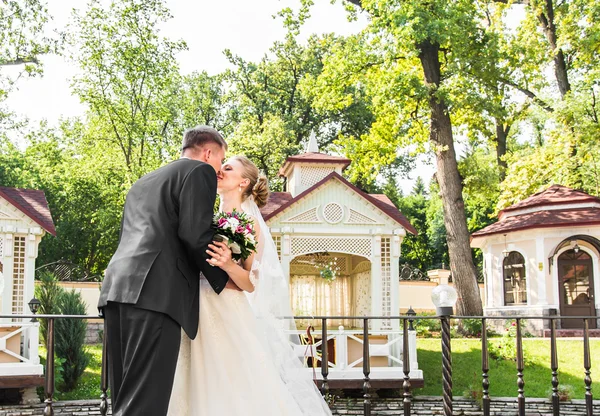 Przystojny brunetka pary młodej całuje piękne panny młodej w sukni ślubnej — Zdjęcie stockowe