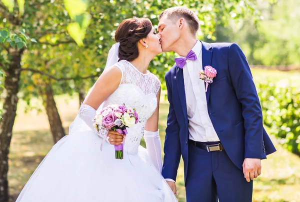 Groom kissing bride outdoors — Stock Photo, Image