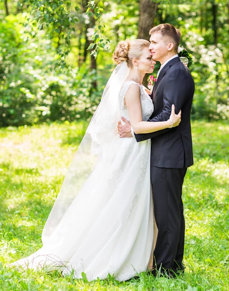 Gelin ve damat bir romantik an açık havada üzerinde