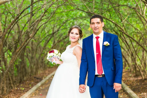 Hermosa novia y novio abrazando en su boda al aire libre — Foto de Stock