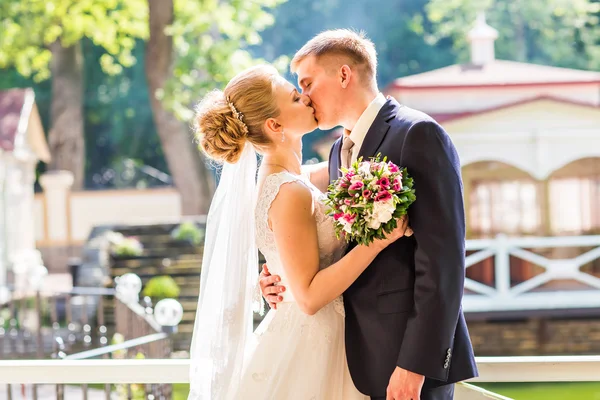 Поцілуй наречену і наречену — стокове фото