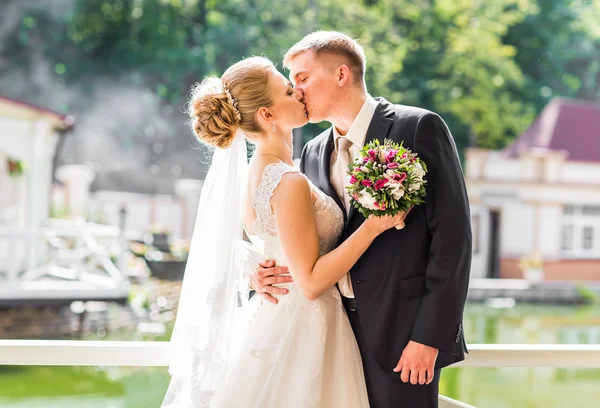 Kiss the bride and groom — Stock Photo, Image