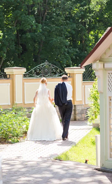 Наречений і наречений в день весілля — стокове фото