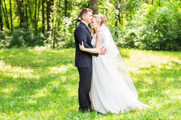 Gelin ve damat düğün gününde