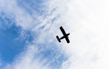 Olağandışı yetiştiricilerinin. Alp bitkiler yetiştirmek için kullanılan tuvalet