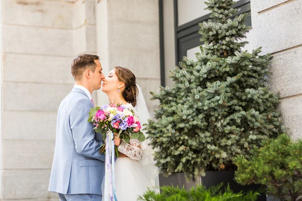 Csók a gyönyörű menyasszony, esküvői ruha, szép barna vőlegény — Stock Fotó