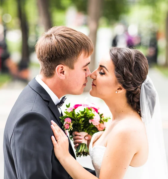 結婚式のカップルのキスの肖像画を間近します。 — ストック写真