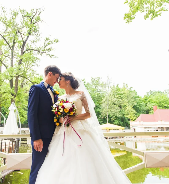 Noiva e noivo em seu dia de casamento — Fotografia de Stock