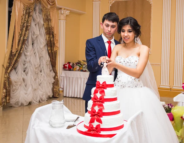 Gelin ve damat düğün pastalarını kesiyorlar. — Stok fotoğraf