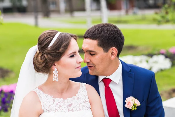 Novia y novio en el día de la boda caminando al aire libre. Recién casados felices abrazándose. Pareja amorosa . — Foto de Stock