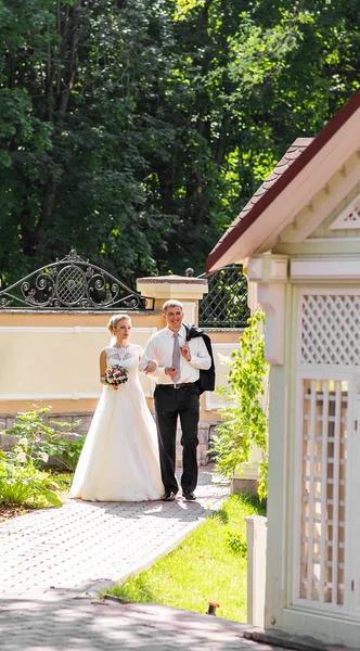 Sposo e sposo il giorno del loro matrimonio all'aperto — Foto Stock