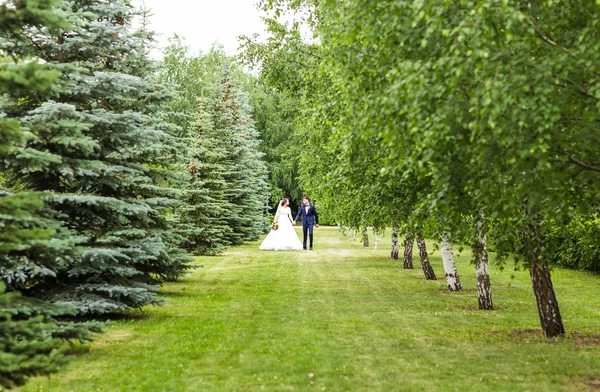 Stylish beautiful happy bride and groom, wedding celebrations outdoors — Stock Photo, Image