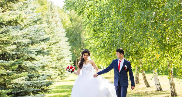 Elegante hermosa novia y novio feliz, celebraciones de la boda al aire libre — Foto de Stock