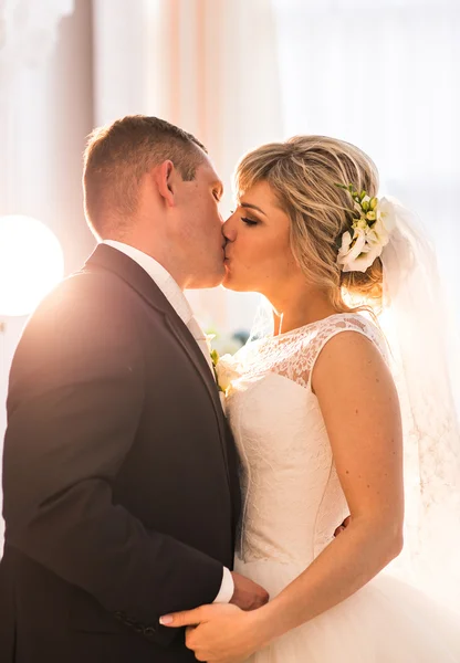 Esküvői pár gazdaság kezét és megcsókolta. — Stock Fotó