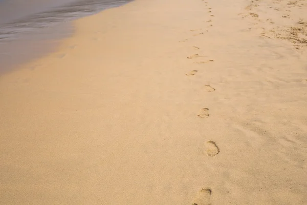 Tracks op een zand — Stockfoto