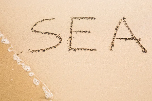 Word deniz kum üzerinde