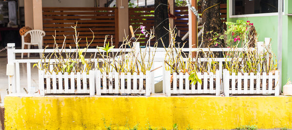 Открытое кафе летом
