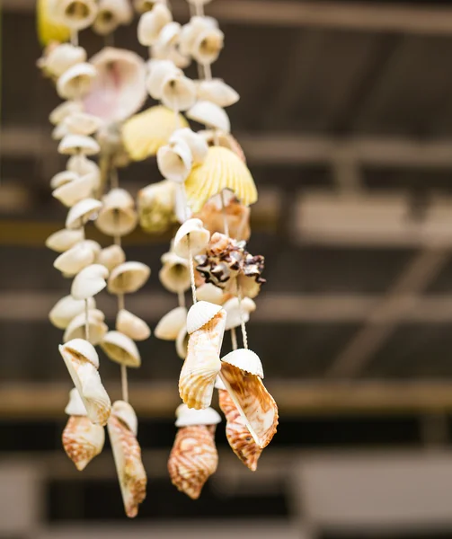 Seashells hanging decoration — Stock Photo, Image