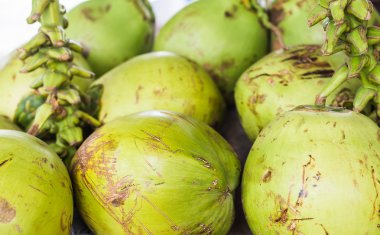 Hindistancevizi Market