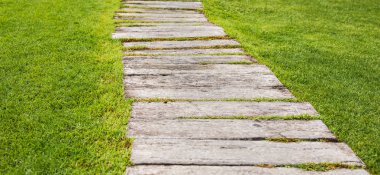 İzleme günlüklerinin yere yakın çekim tahrik