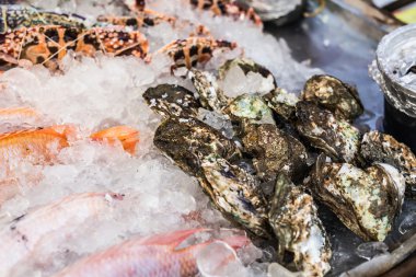 Balık pazarında buzlu deniz ürünleri.