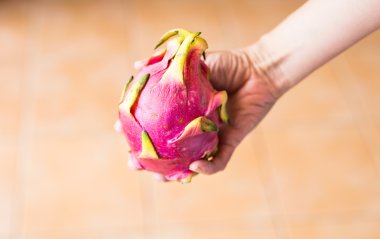 El olgun dragon meyve tutan