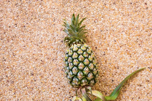 Pineapple with copy space over background. Fruits, diet, healthy food concept — Stock Photo, Image